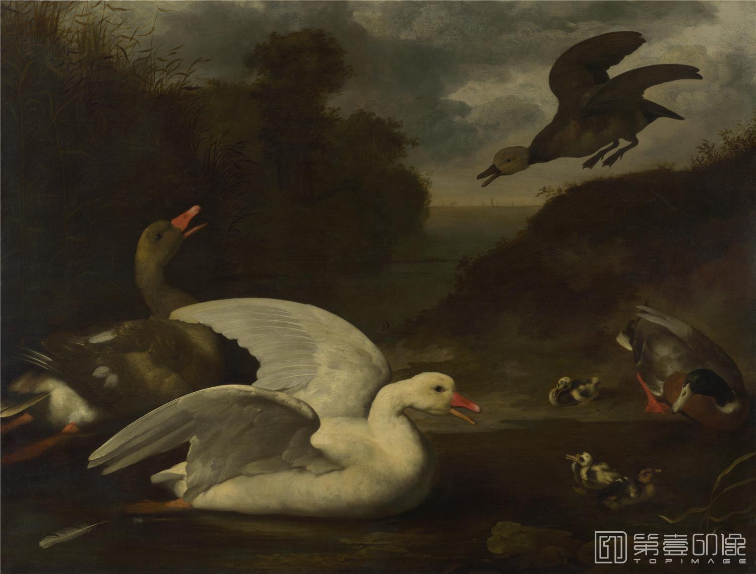 油画-大英博物馆藏画-Johannes Spruyt - Geese and Ducks-1513